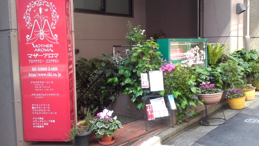 Mother Aromaの外観